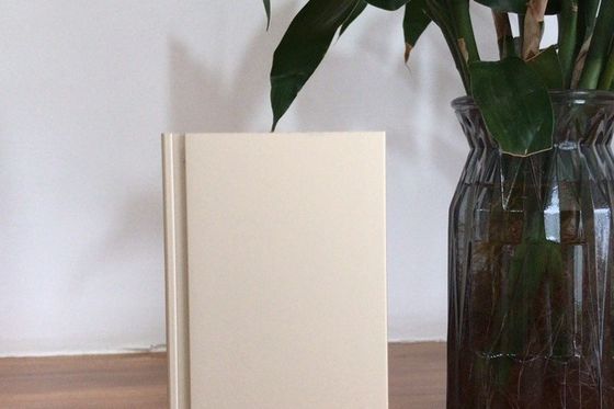 سعر جيد خط إنتاج Manunal Oxidation بقدرة إمداد شهريّة تبلغ 900 طن الانترنت